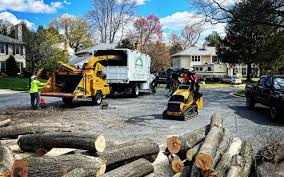 Trusted Vermillion, SD Tree Services Experts